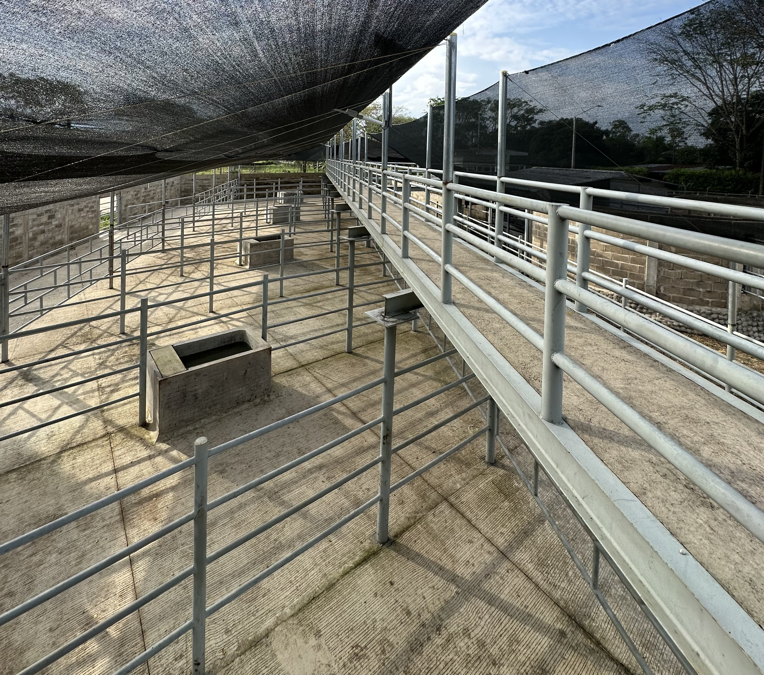 Servicio de Corrales