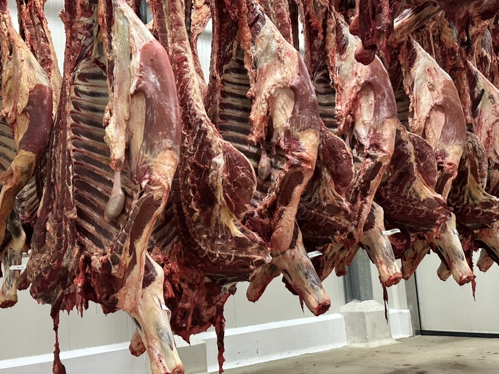 Servicio de Cuartos Fríos